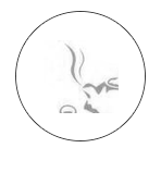 企业新闻